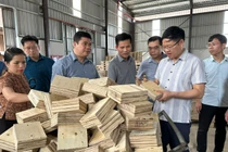 Phó Chủ tịch UBND tỉnh Đinh Quang Tuyên thăm nhà máy sản xuất gỗ pallet và nội thất tại KCN Thanh Bình