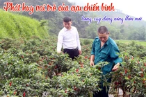 Vai trò của cựu chiến binh trong xây dựng nông thôn mới