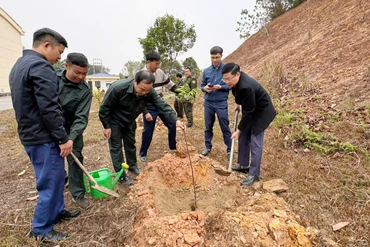 Đồng chí Phó Chủ tịch Thường trực UBND tỉnh Đinh Quang Tuyên dự Tết trồng cây tại Chợ Mới