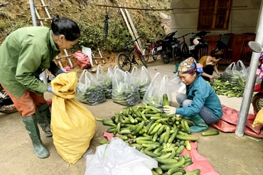 Bạch Thông: Trao sinh kế cho người dân, giúp giảm nghèo bền vững 