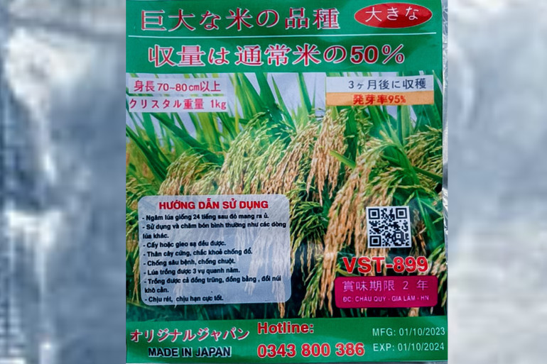 Vỏ bao bì giống lúa không rõ nguồn gốc. 8.jpg