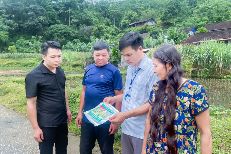 Cơ quan chức năng và chính quyền địa phương khuyến cáo người dân cần sử dụng đúng cơ cấu giống của tỉnh đã khuyến cáo. 5.jpg