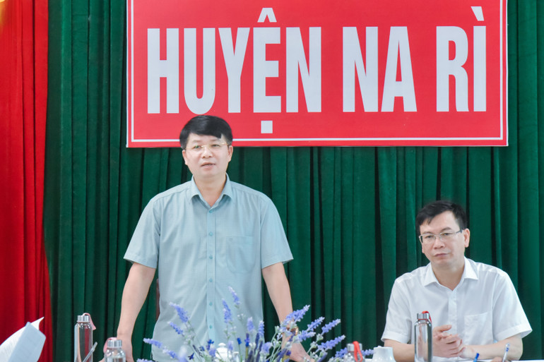 Đồng chí Nông Quang Nhất, Phó Chủ tịch UBND tỉnh phát biểu tại buổi làm việc. 1.jpg