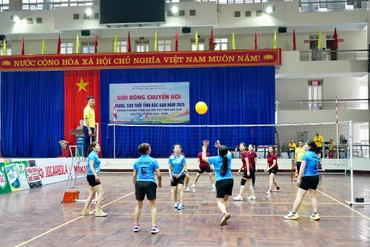 Ngay sau lễ khai mạc các đội đã bước vào những trận thi đấu đầu tiên.