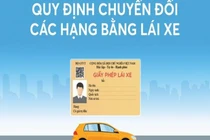 Infographics: Quy định chuyển đổi các hạng bằng lái xe từ 1/1/2025