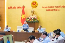 Đẩy mạnh phân cấp, phân quyền trong xử phạt vi phạm hành chính