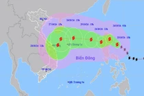 Bão Trà Mi diễn biến phức tạp, khả năng đổi hướng khi vào Biển Đông