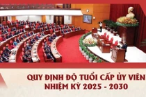 [Infographic]: Quy định độ tuổi cấp ủy viên nhiệm kỳ 2025 - 2030