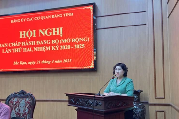 Đồng chí Phương Thị Thanh, Phó Bí thư Thường trực Tỉnh ủy, Chủ tịch HĐND tỉnh, Bí thư Đảng ủy Các cơ quan Đảng tỉnh quán triệt nội dung Hội nghị.