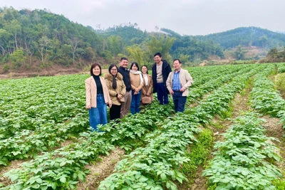 Hệ thống hợp tác xã tạo “lực đẩy” cho sản phẩm nông nghiệp vươn xa