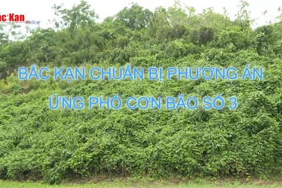 Bắc Kạn sẵn sàng phương án ứng phó cơn bão số 3