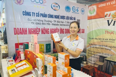 Hội chợ OCOP khu vực Đông Bắc - Quảng Ninh 2024