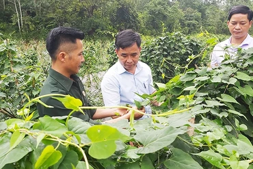 Những “kỹ sư” chân đất ở Văn Lang