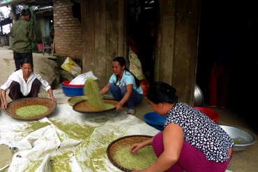 Mùa cốm ở Bạch Thông