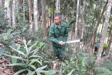 Cựu chiến binh làm kinh tế giỏi