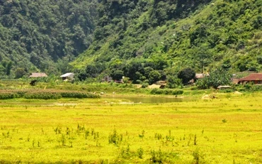 Lúng túng trong quản lý đất hoàn thổ tại Na Rì