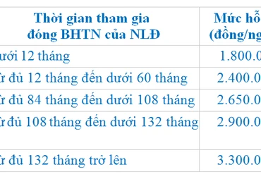 Quy định về việc hỗ trợ người lao động, người sử dụng lao động bị ảnh hưởng bởi dịch Covid-19