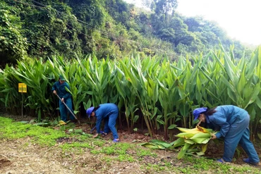 Chương trình OCOP thúc đẩy kinh tế khu vực nông thôn phát triển