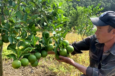 Tăng hàm lượng khoa học công nghệ cho sản phẩm nông nghiệp