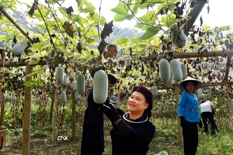 Hoàn tất công tác chuẩn bị cho Tuần Văn hóa- Du lịch Bắc Kạn