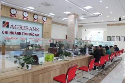 Khách hàng giao dịch tại Agribank Chi nhánh tỉnh.