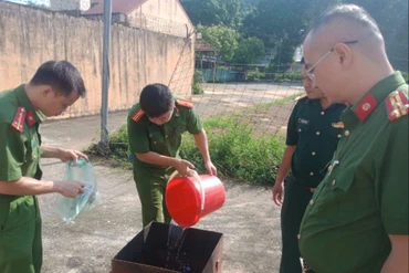 Công an huyện Bạch Thông tổ chức tiêu hủy vũ khí, vật liệu nổ, công cụ hỗ trợ và pháo