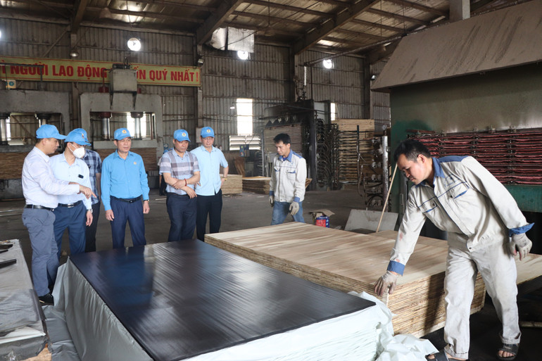 Đại biểu tham quan xưởng sản xuất của Chi nhánh Công ty TNHH Sản xuất và Thương mại Hồng Ngọc. img-9805.jpg