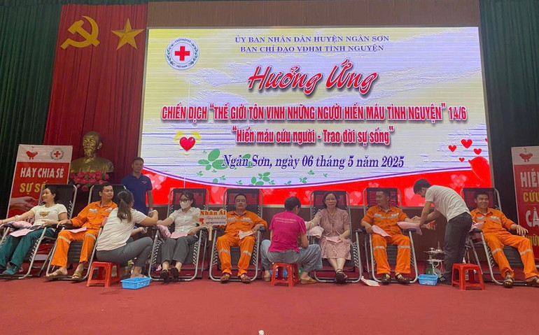 Quang cảnh Ngày hội hiến máu tình nguyện. 0e38c40a-22c8-4b26-aa29-1548b0b94049.jpg