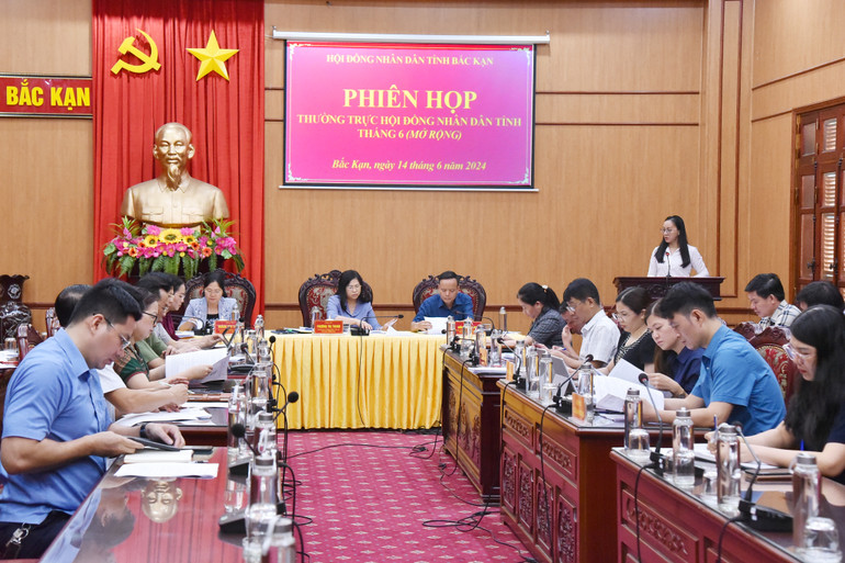 Quang cảnh Phiên họp. NIK_3449.jpg