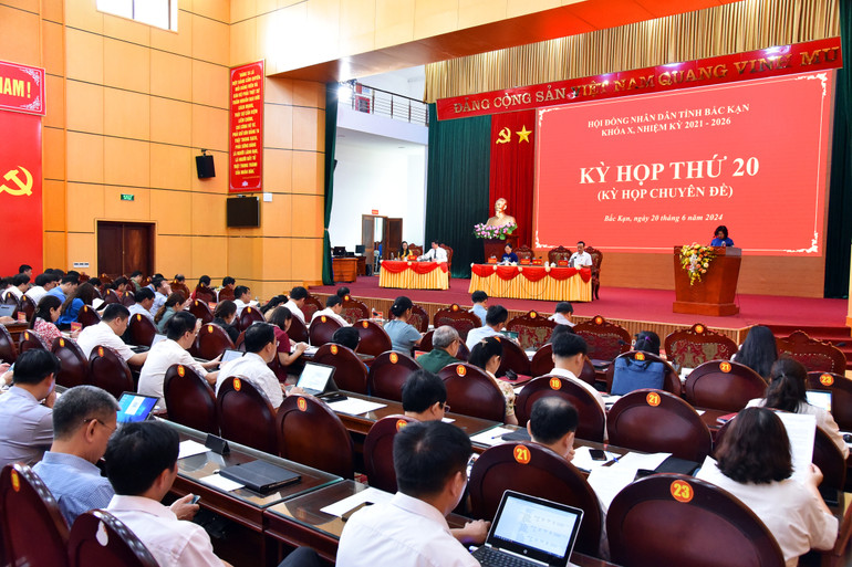 Đại biểu nghiên cứu tài liệu, đề xuất ý kiến vào dự thảo Nghị quyết. NIK_3539.jpg