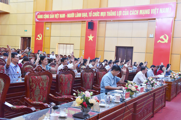 Đại biểu HĐND tỉnh biểu quyết, thông qua Nghị quyết quy định tiêu chí thành lập và tiêu chí về số lượng thành viên Tổ bảo vệ an ninh, trật tự; một số mức chi cho lực lượng tham gia bảo vệ an ninh trật tự ở cơ sở trên địa bàn tỉnh Bắc Kạn NIK_3616.jpg