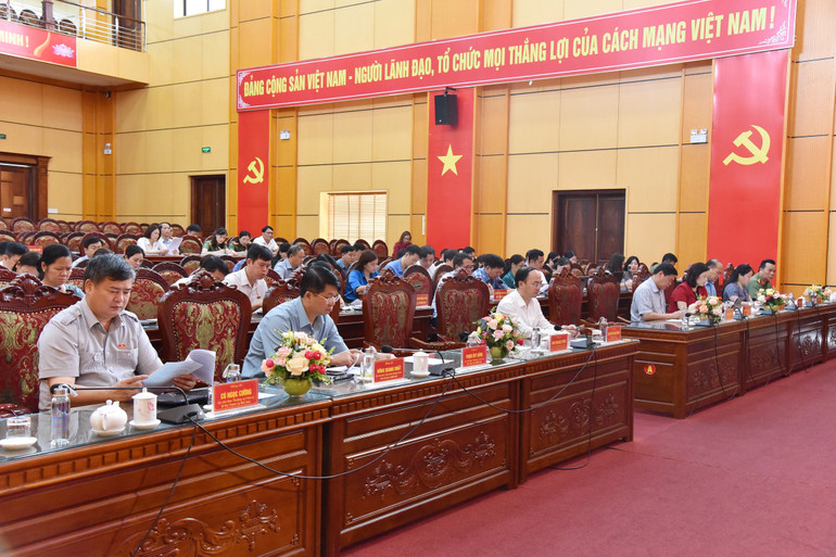 Các đại biểu dự Kỳ họp. NIK_3559.jpg