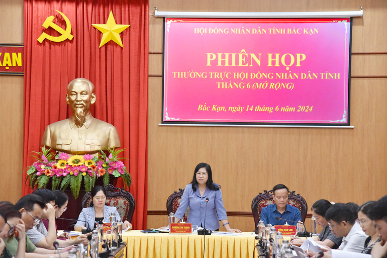 Đồng chí Phương Thị Thanh, Phó Bí thư Thường trực Tỉnh ủy, Chủ tịch HĐND tỉnh phát biểu kết luận tại Phiên họp. NIK_3465.jpg