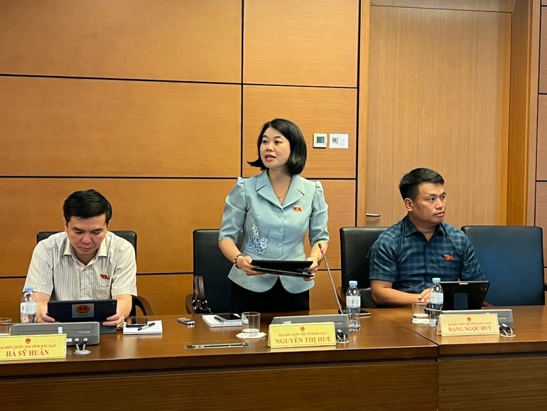 Đại biểu Nguyễn Thị Huế, Phó Chủ tịch Hội Liên hiệp Phụ nữ tỉnh Bắc Kạn thảo luận tại Tổ. z5494276018735_59d49d201d0726c940bb2e598765430b.jpg