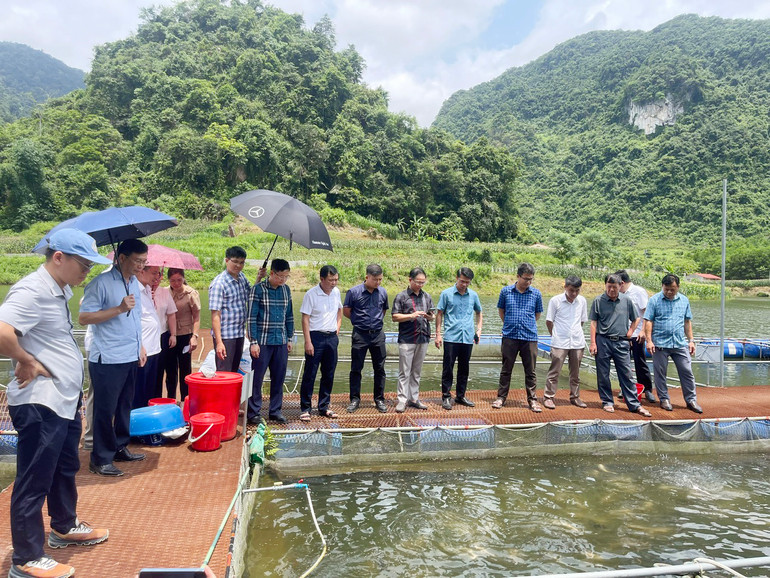Thăm Dự án phát triển thủy sản chất lượng cao của Hợp tác xã nông lâm nghiệp thủy sản Tân An, xã Văn Lang. 2.jpg