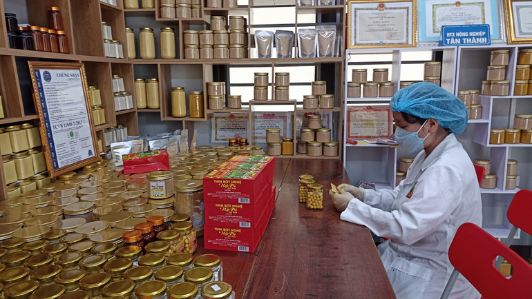 Mô hình kinh tế HTX ứng dụng công nghệ cao và liên kết theo chuỗi giá trị tại thành phố Bắc Kạn phát triển mạnh mẽ. Số HTX thành lập mới trong hơn 2 năm qua vượt rất cao so với chỉ tiêu đề ra.