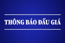 Thông báo đấu giá quyền khai thác khoáng sản đối với khu vực đất sét làm gạch Đèo Vai, xã Quảng Chu, huyện Chợ Mới, tỉnh Bắc Kạn (lần 2)