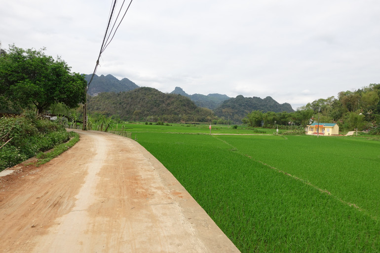 Công trình đường vào khu sản xuất Bản Nản - Pác Nghè, xã Khang Ninh được Dự án CSSP hỗ trợ đầu tư xây dựng. dsc03632.jpg