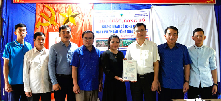 Vùng trồng dong riềng thôn Nà Buốc, xã Quang Phong, huyện Na Rì đạt chứng nhận hữu cơ. dsc02237-1628.jpg