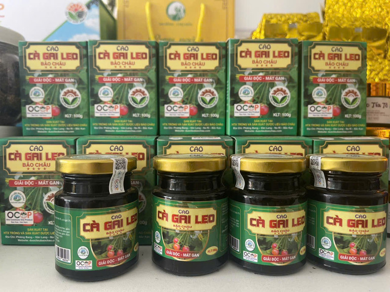 Sản phẩm cao cà gai leo của HTX trồng và sản xuất Dược liệu Bảo Châu. Ảnh: Triệu Hiển z6034757382093-0c2fb2b451c0e273f620f2ef7c63e57f.jpg