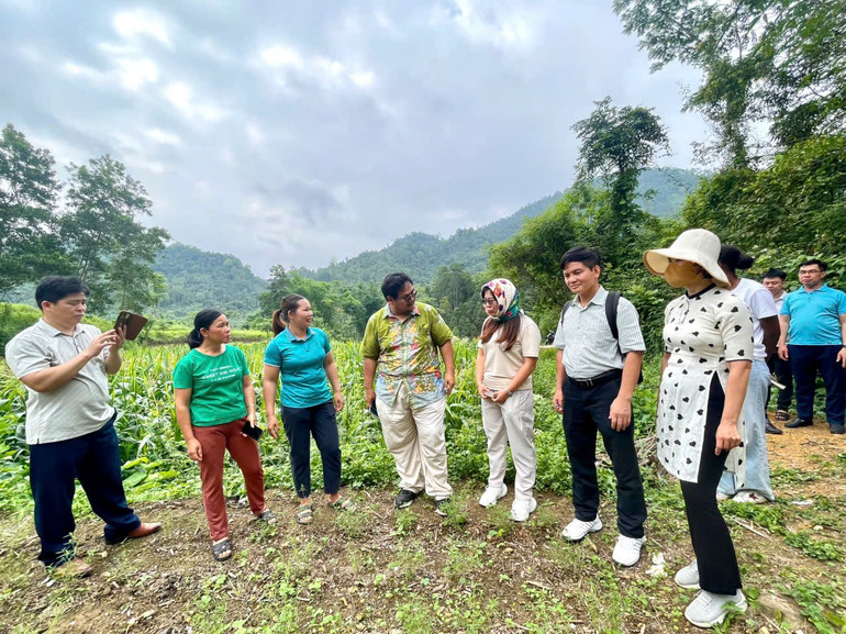Đoàn công tác của IFAD khảo sát về tiềm năng phát triển làng nghề truyền thống gắn với du lịch cộng đồng tại thôn Khuổi Po, xã Sơn Thành. z6640870388630-12608b6da140e791ee6bfa928fcec364.jpg