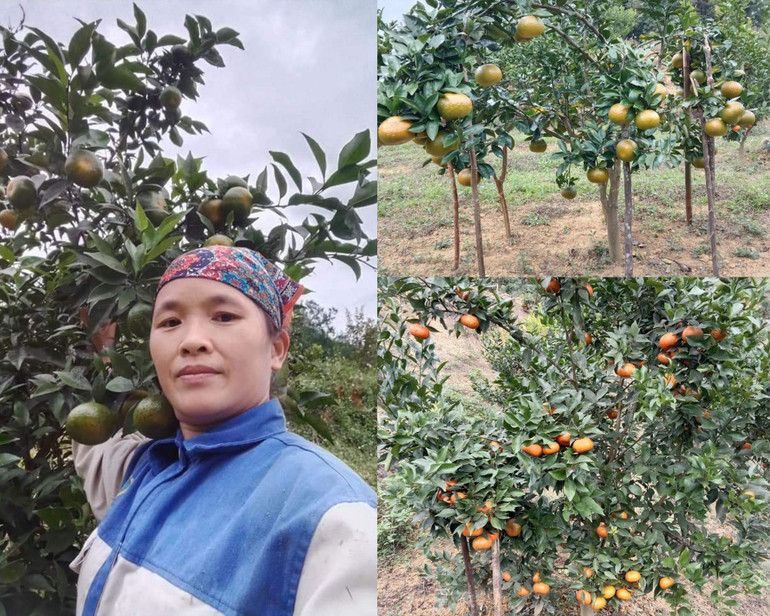 Chị Lâm Thị Luyến và mô hình trồng cây ăn quả của gia đình Ảnh: Triệu Hiển 1.jpg