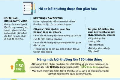 Khi nào nạn nhân tai nạn giao thông được hỗ trợ nhân đạo?