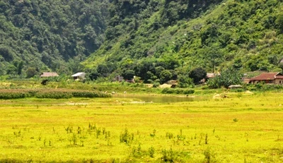 Lúng túng trong quản lý đất hoàn thổ tại Na Rì