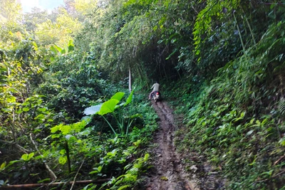 Khuổi Luông trăn trở thoát nghèo