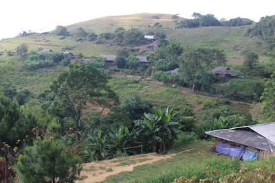 Gian nan Phiêng Chỉ