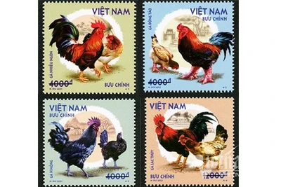 Phát hành bộ tem bưu chính “Gà bản địa Việt Nam"