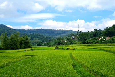 Thượng Ân những ngày tháng 9