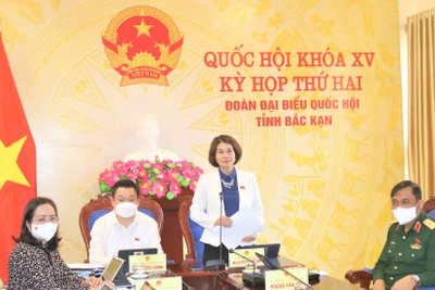 Đại biểu Nguyễn Thị Huế: Cần cụ thể hoá các hoạt động hỗ trợ phát triển điện ảnh