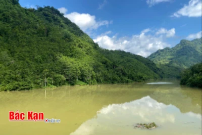 Yêu cầu Công ty Cổ phần Sông Đà Bắc Kạn chấp hành nghiêm về bảo vệ môi trường